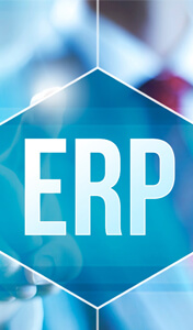 ERP Enterprise Resource Planning Company
